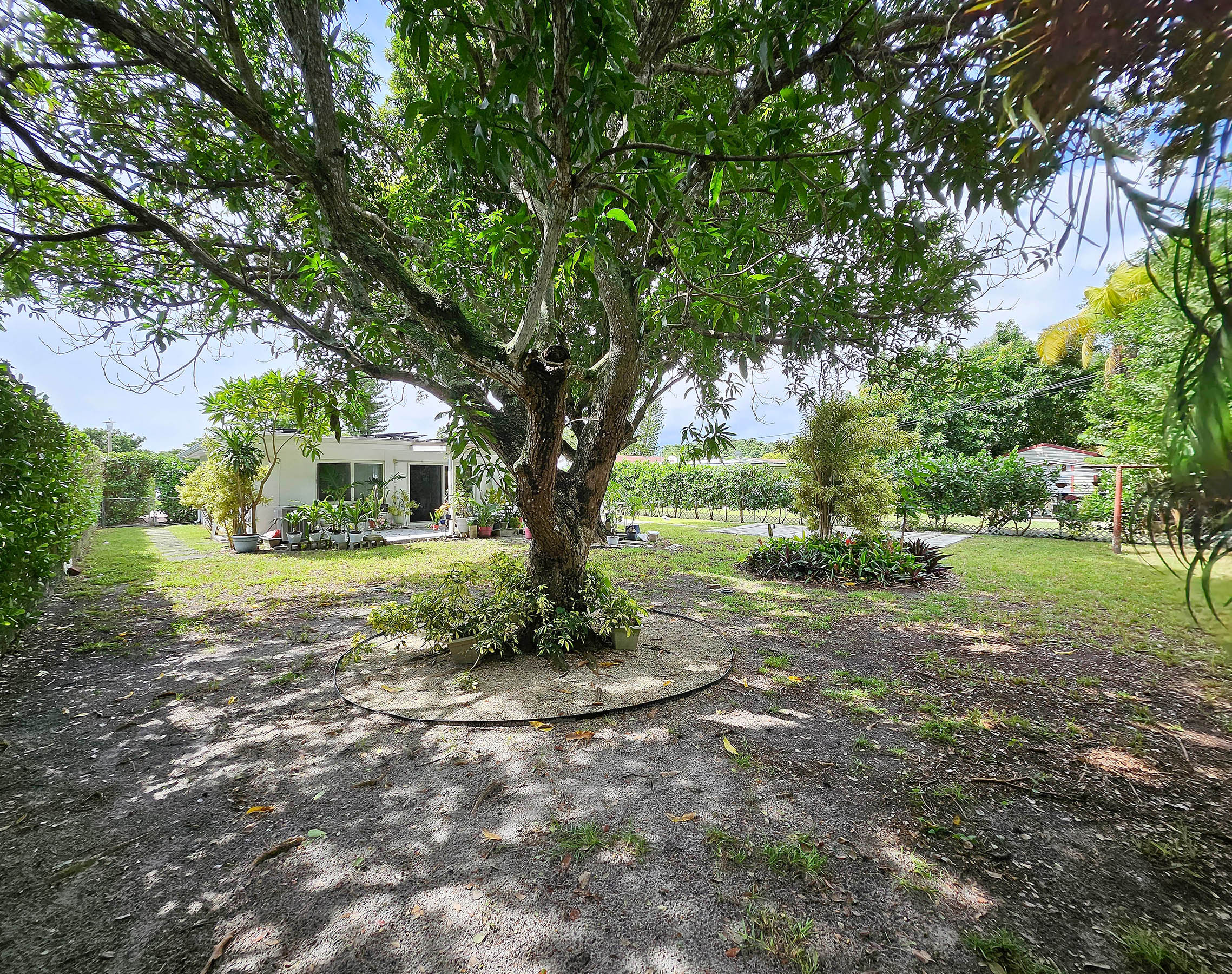 Backyard – Northeast View
